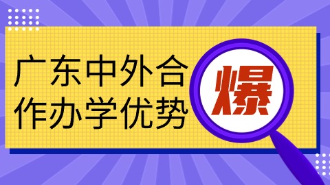 广东中外合作办学优势.jpg