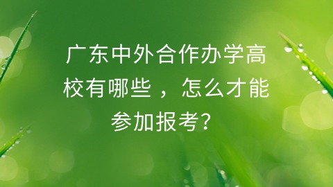 广东中外合作办学高校有哪些,怎么才能参加报考？.jpg