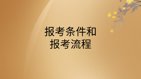 报考条件和流程.png