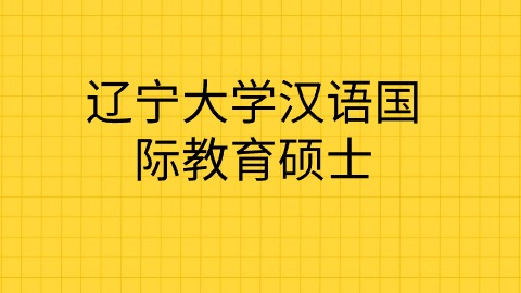 辽宁大学汉语国际教育硕士.jpg