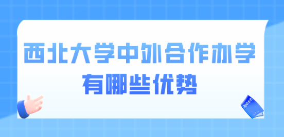 西北大学中外合作办学有哪些优势.png