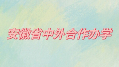 安徽省中外合作办学.jpeg