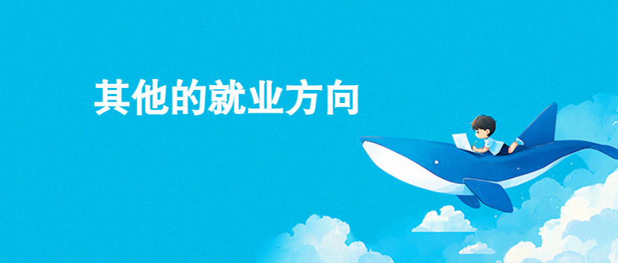 其他的就业方向.png