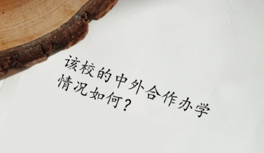 该校的中外合作办学情况如何？.png