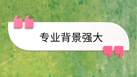 专业背景强大.png