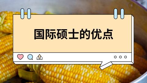 国际硕士的优点.png