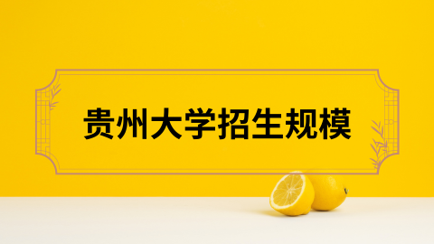 贵州大学招生规模.png