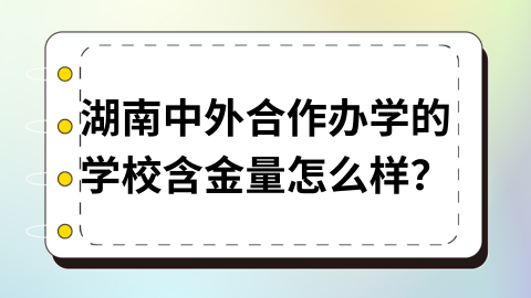 湖南中外合作办学的学校含金量怎么样？.png