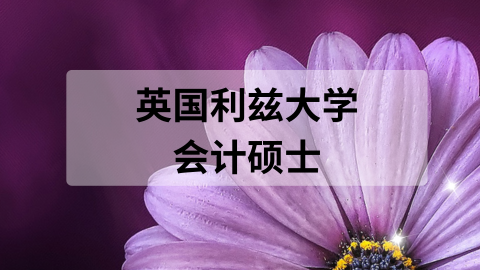 英国利兹大学会计硕士.png