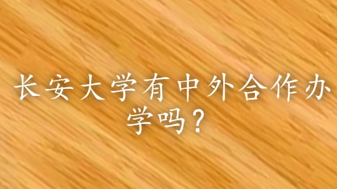长安大学有中外合作办学吗？.png