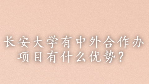 长安大学有中外合作办项目有什么优势？.png