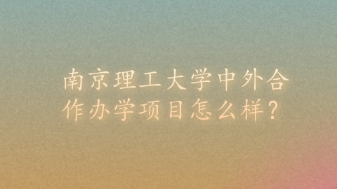 南京理工大学中外合作办学项目怎么样？.png