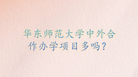 华东师范大学中外合作办学项目多吗？.png