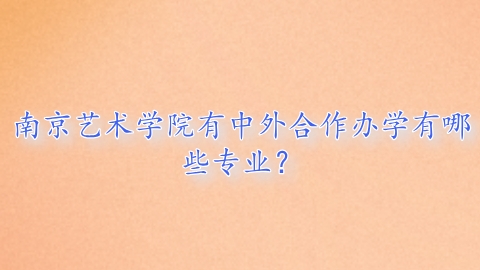 南京艺术学院有中外合作办学有哪些专业？.png