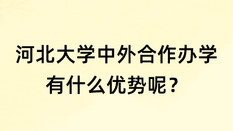 河北大学中外合作办学有什么优势呢？.png