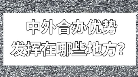 中外合办优势是发挥在哪些地方的？.jpg