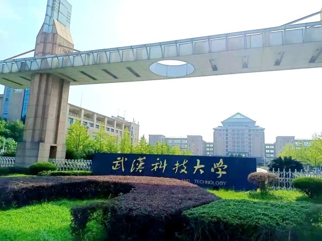 武汉科技大学.jpg